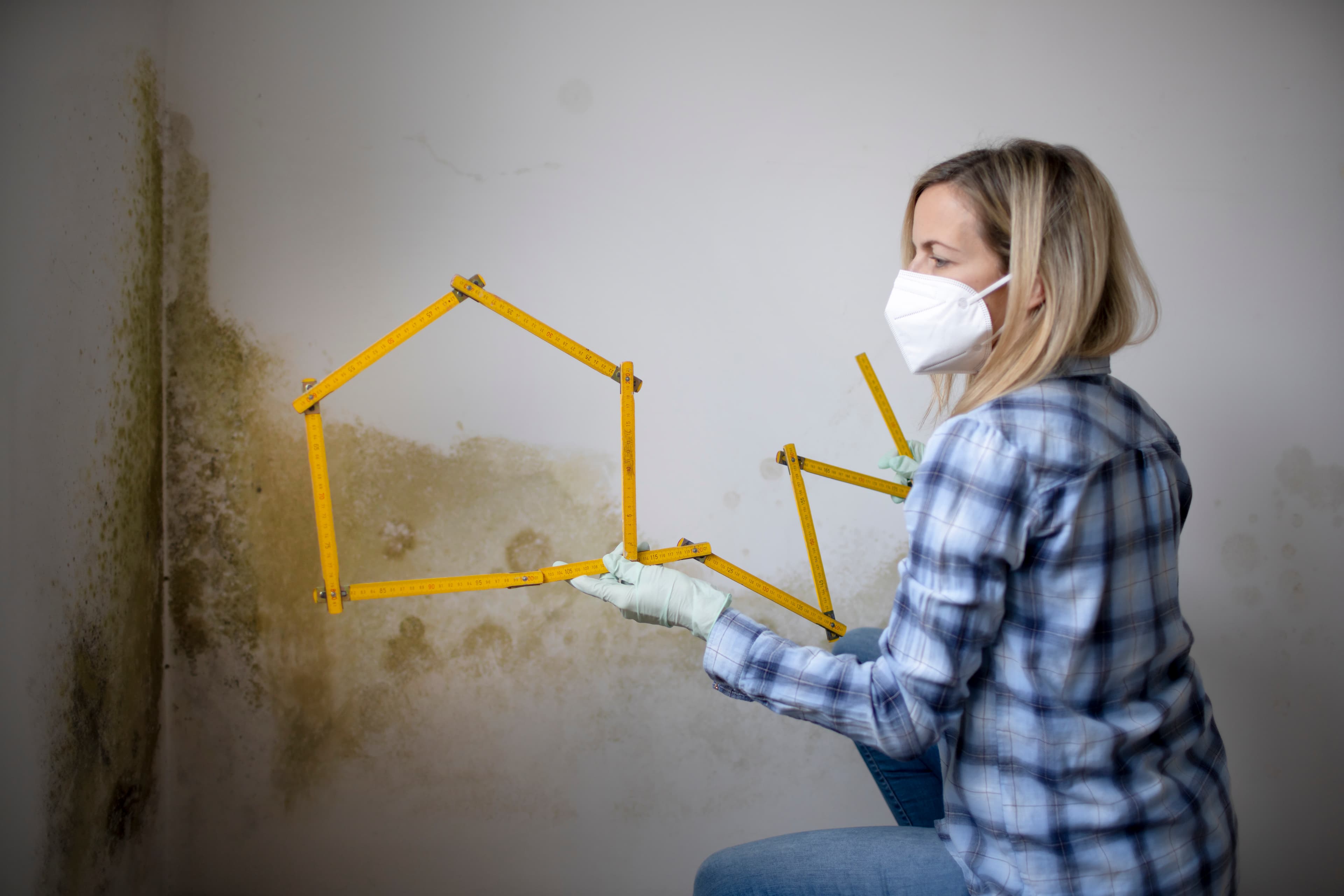 Woman inspecting mould on wall in a Gold Coast home.