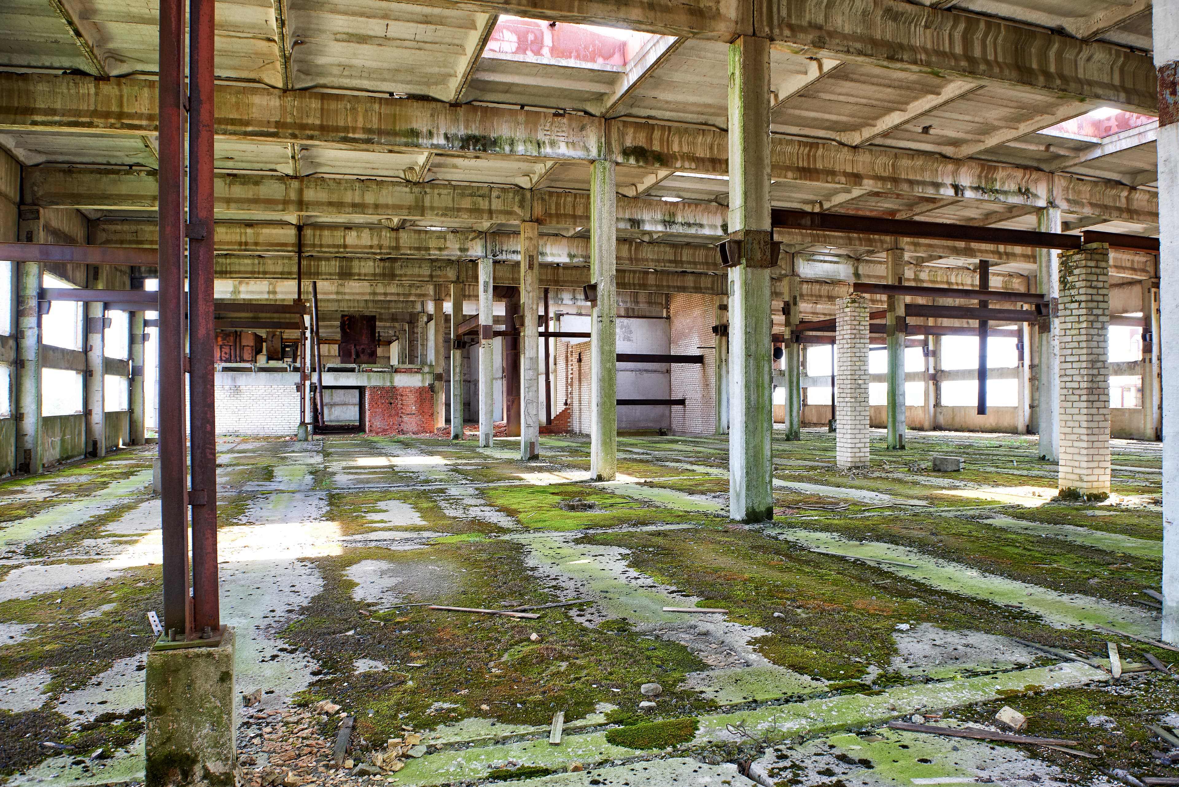 Abandoned structure with mossy floors symbolizing need for structural drying in flooded Gold Coast homes.